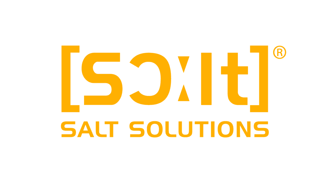 Logo_SALT_SOLUTIONS_RGB_mit Schutzzone_transparent_klein